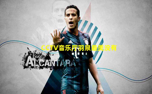 CCTV音乐厅羽泉最美没有