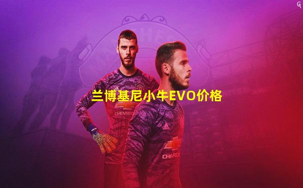 兰博基尼小牛EVO价格