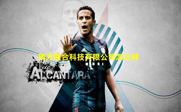 南方联合科技有限公司怎么样