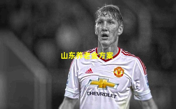 山东养老金方案