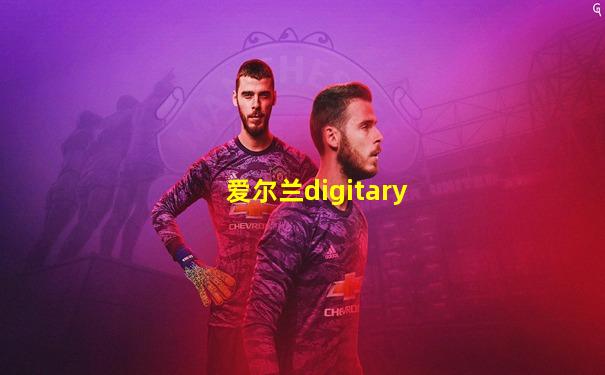 爱尔兰digitary