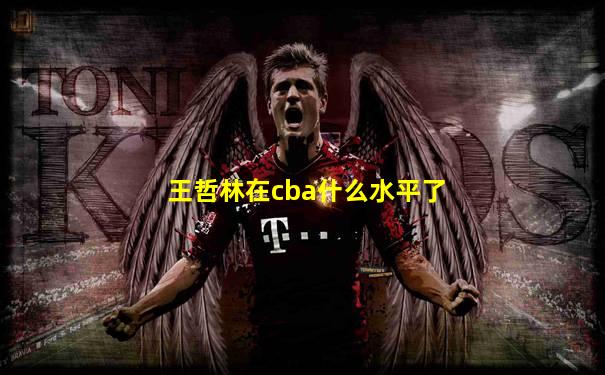 王哲林在cba什么水平了