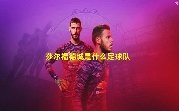 莎尔福德城是什么足球队
